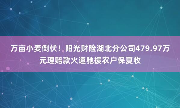 万亩小麦倒伏！阳光财险湖北分公司479.97万元理赔款火速驰援农户保夏收