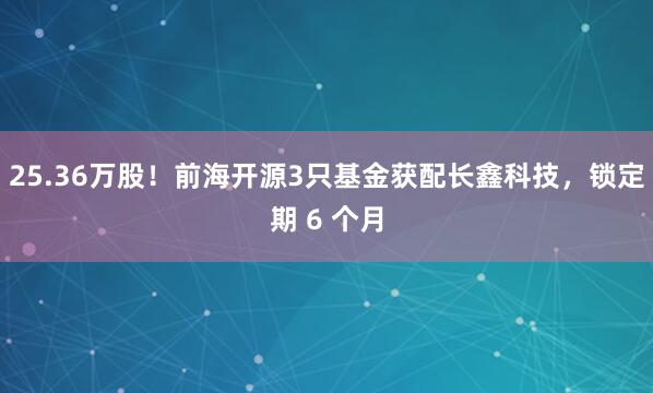 25.36万股！前海开源3只基金获配长鑫科技，锁定期 6 个月