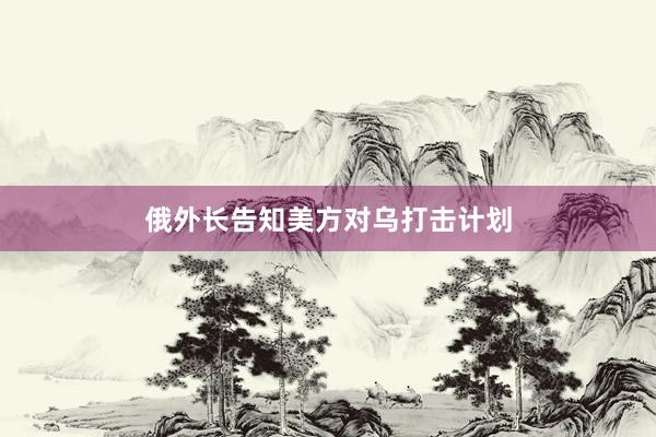 俄外长告知美方对乌打击计划
