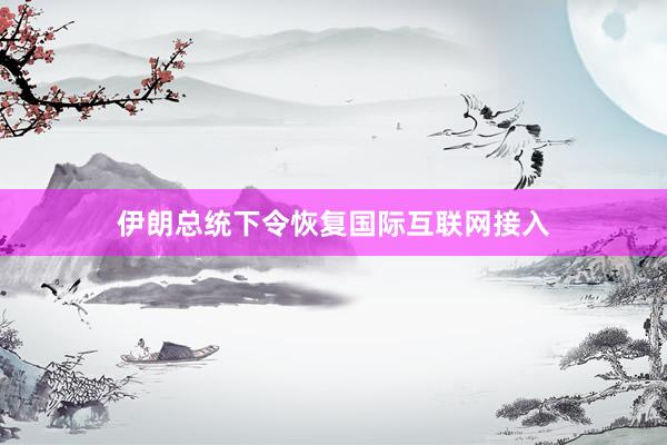 伊朗总统下令恢复国际互联网接入