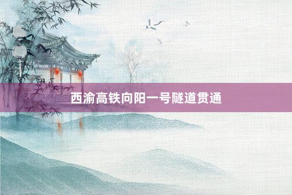 西渝高铁向阳一号隧道贯通