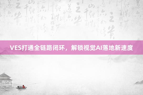 VES打通全链路闭环，解锁视觉AI落地新速度