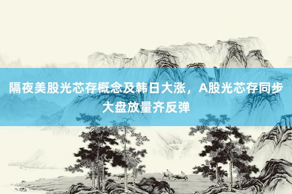隔夜美股光芯存概念及韩日大涨，A股光芯存同步大盘放量齐反弹