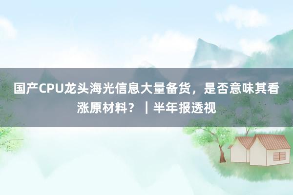 国产CPU龙头海光信息大量备货，是否意味其看涨原材料？｜半年报透视