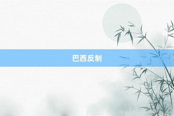 巴西反制