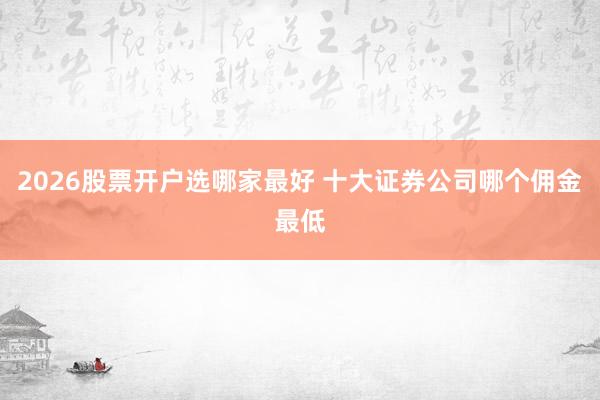 2026股票开户选哪家最好 十大证券公司哪个佣金最低