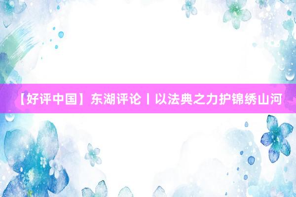 【好评中国】东湖评论丨以法典之力护锦绣山河