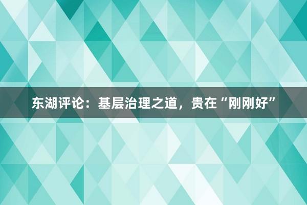 东湖评论：基层治理之道，贵在“刚刚好”