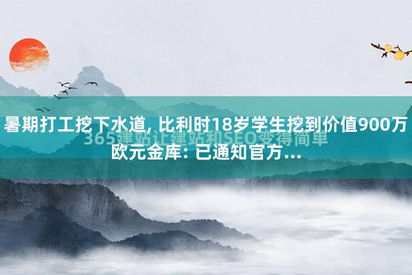 暑期打工挖下水道, 比利时18岁学生挖到价值900万欧元金库: 已通知官方...