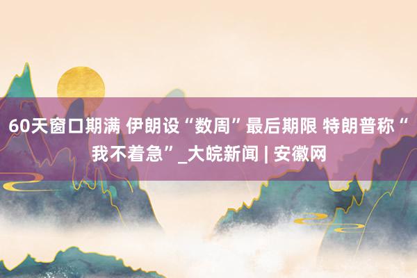 60天窗口期满 伊朗设“数周”最后期限 特朗普称“我不着急”_大皖新闻 | 安徽网