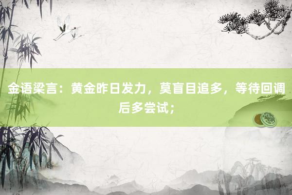 金语梁言：黄金昨日发力，莫盲目追多，等待回调后多尝试；