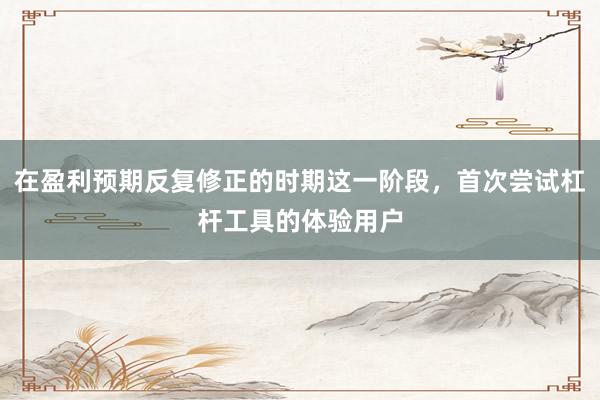 在盈利预期反复修正的时期这一阶段，首次尝试杠杆工具的体验用户