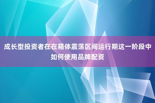 成长型投资者在在箱体震荡区间运行期这一阶段中如何使用品牌配资