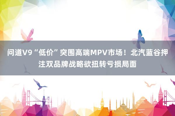 问道V9“低价”突围高端MPV市场！北汽蓝谷押注双品牌战略欲扭转亏损局面