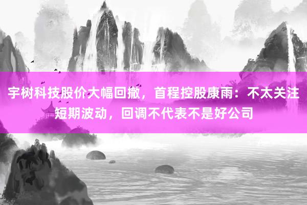 宇树科技股价大幅回撤,首程控股康雨:不太关注短期波动,回调不代表不是好公司