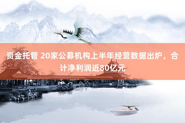 资金托管 20家公募机构上半年经营数据出炉，合计净利润近80亿元