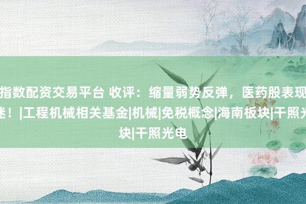 指数配资交易平台 收评:缩量弱势反弹,医药股表现低迷!|工程机械相关基金|机械|免税概念|海南板块|干照光电