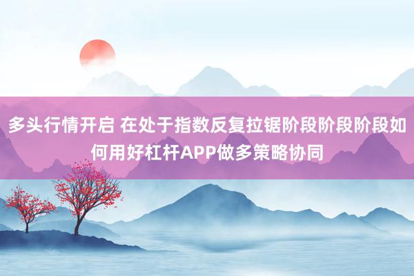 多头行情开启 在处于指数反复拉锯阶段阶段阶段如何用好杠杆APP做多策略协同