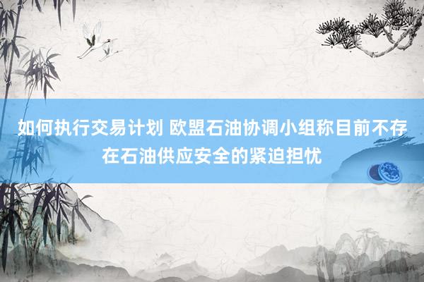 如何执行交易计划 欧盟石油协调小组称目前不存在石油供应安全的紧迫担忧