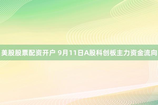 美股股票配资开户 9月11日A股科创板主力资金流向