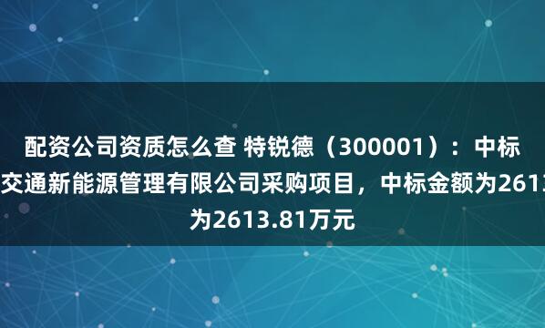 配资公司资质怎么查 特锐德（300001）：中标甘肃高台交通新能源管理有限公司采购项目，中标金额为2613.81万元